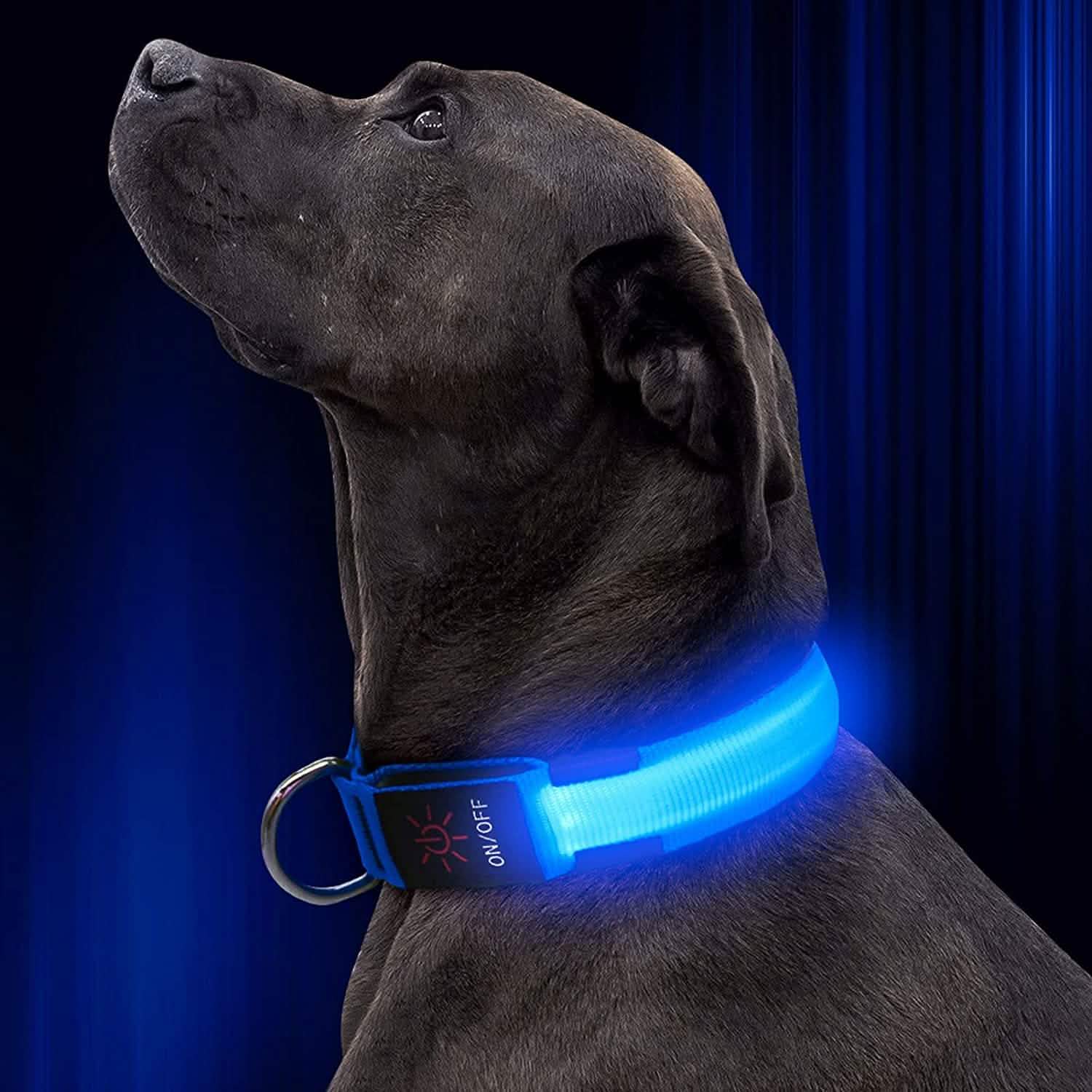 LED Pet Collar DailySale