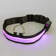 LED Pet Collar DailySale