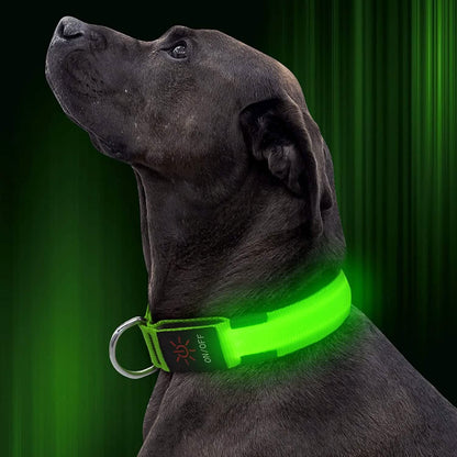 LED Pet Collar DailySale