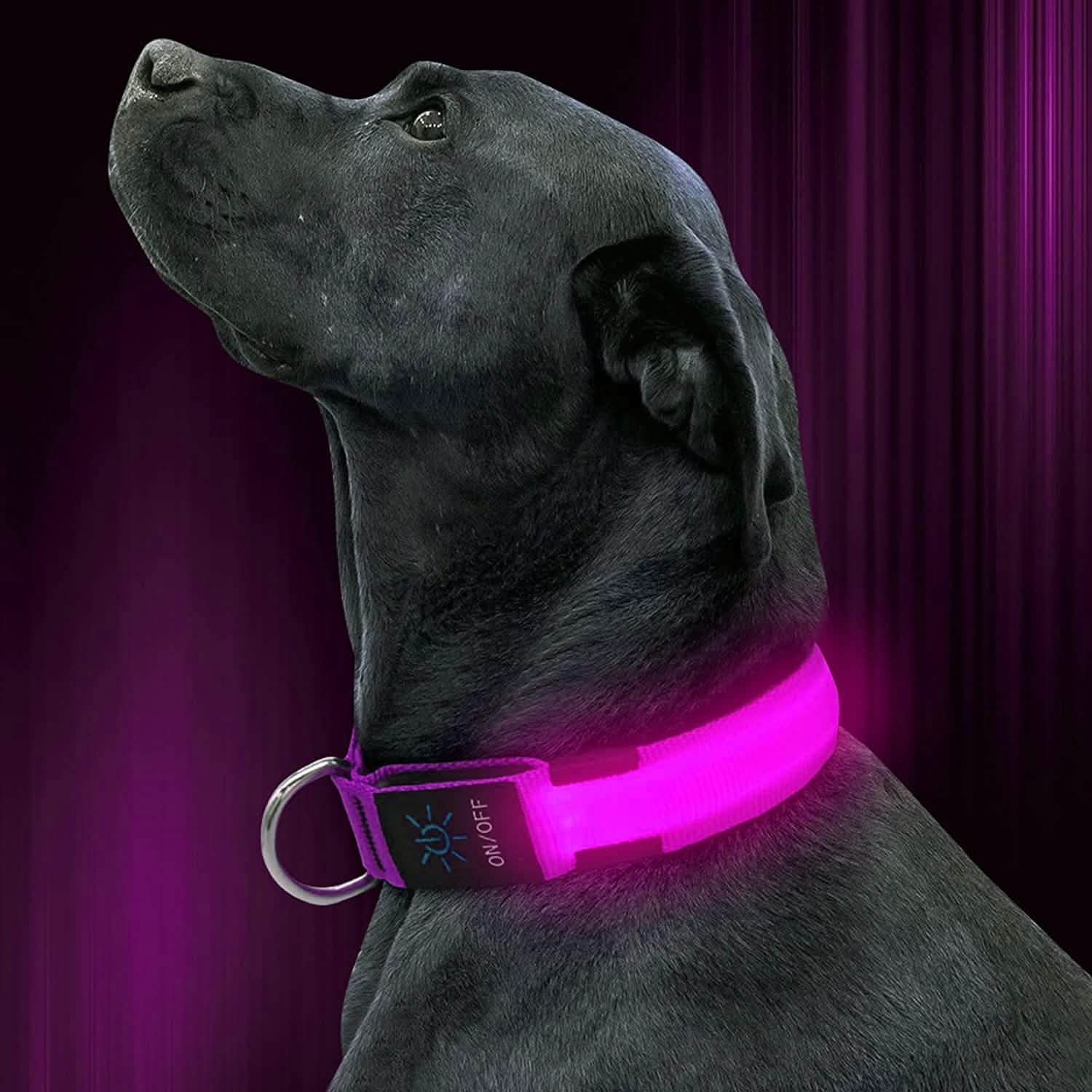 LED Pet Collar DailySale