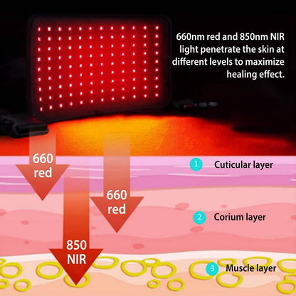 LED Red Light Therapy Belt DailySale