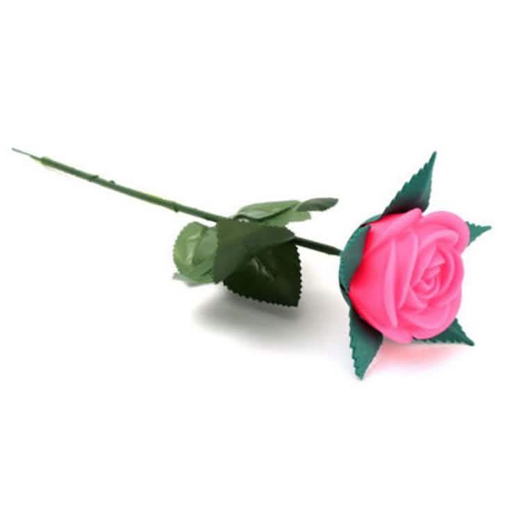 LED Rose Lights DailySale