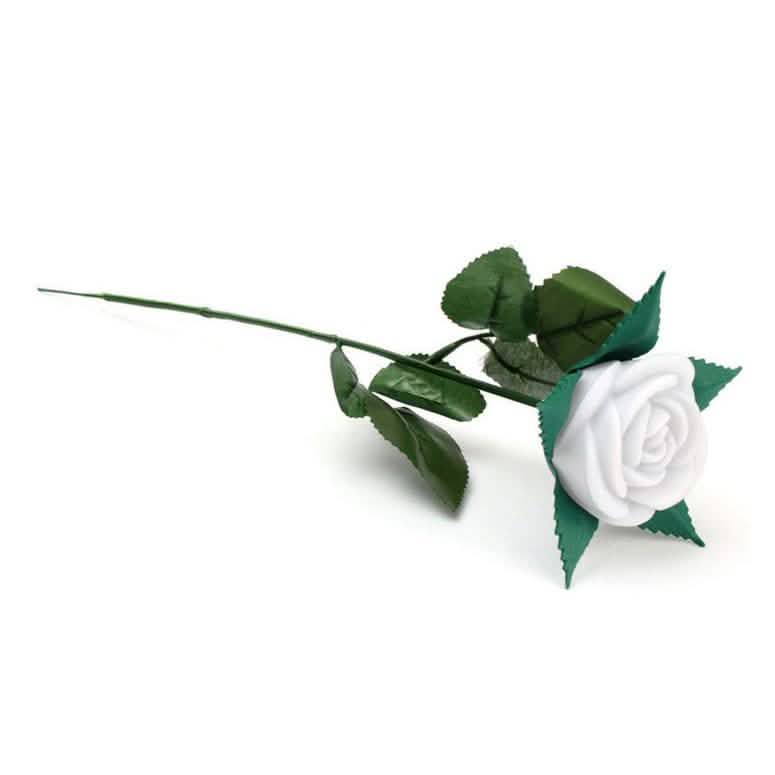 LED Rose Lights DailySale