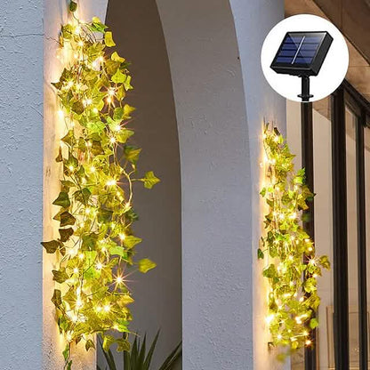 LED Solar Ivy Leaf String Light DailySale