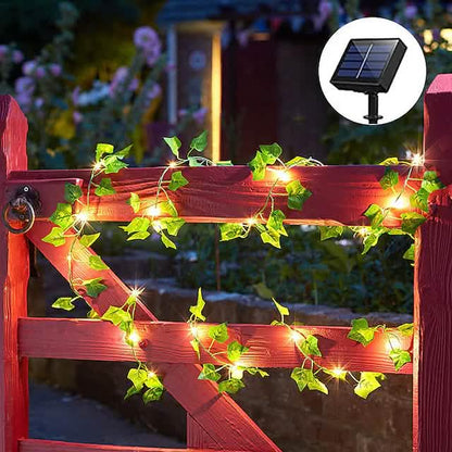 LED Solar Ivy Leaf String Light DailySale