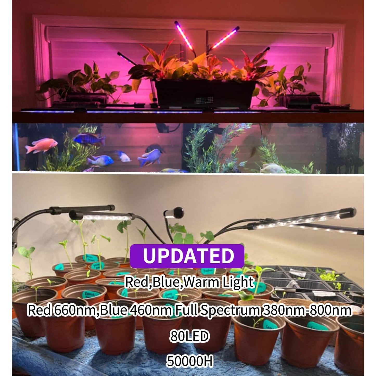 LEOTER Grow Light for Indoor Plants DailySale