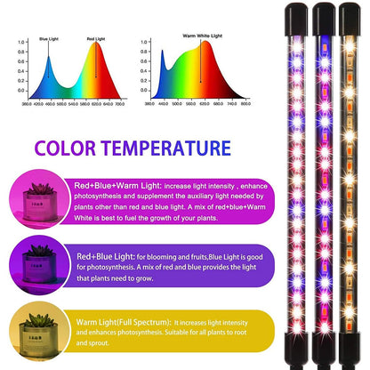 LEOTER Grow Light for Indoor Plants DailySale