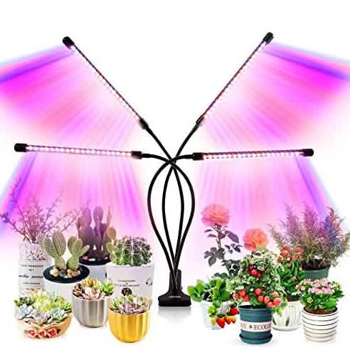 LEOTER Grow Light for Indoor Plants DailySale