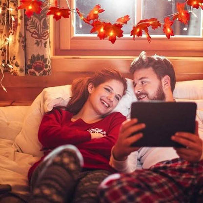 Lighted Fall Garland 40 LED String Light DailySale