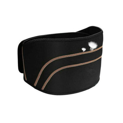 Lower Back Braces Pain Relief Adjustable Lumbar Support Belt DailySale