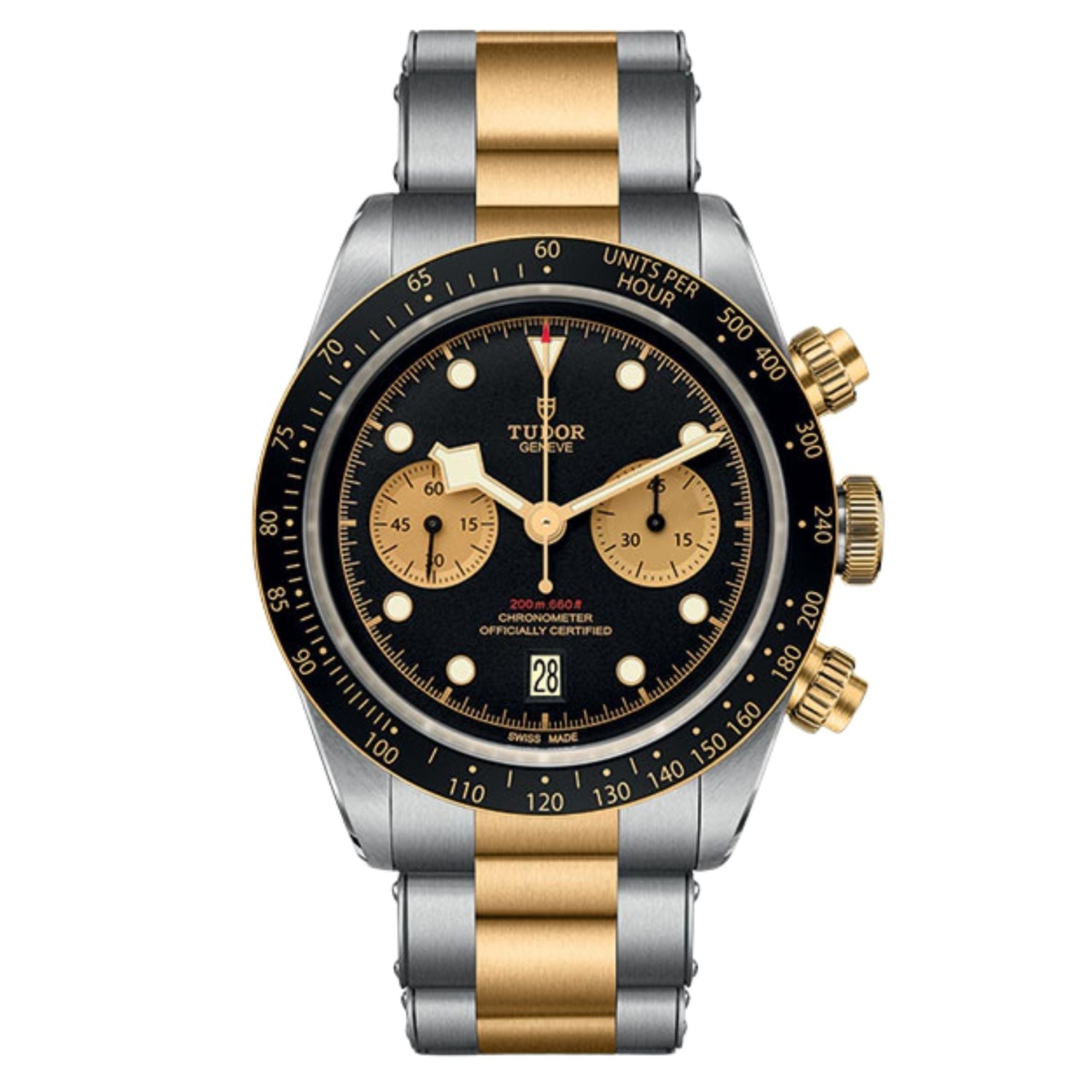 Tudor Men's Black Bay Bids.com