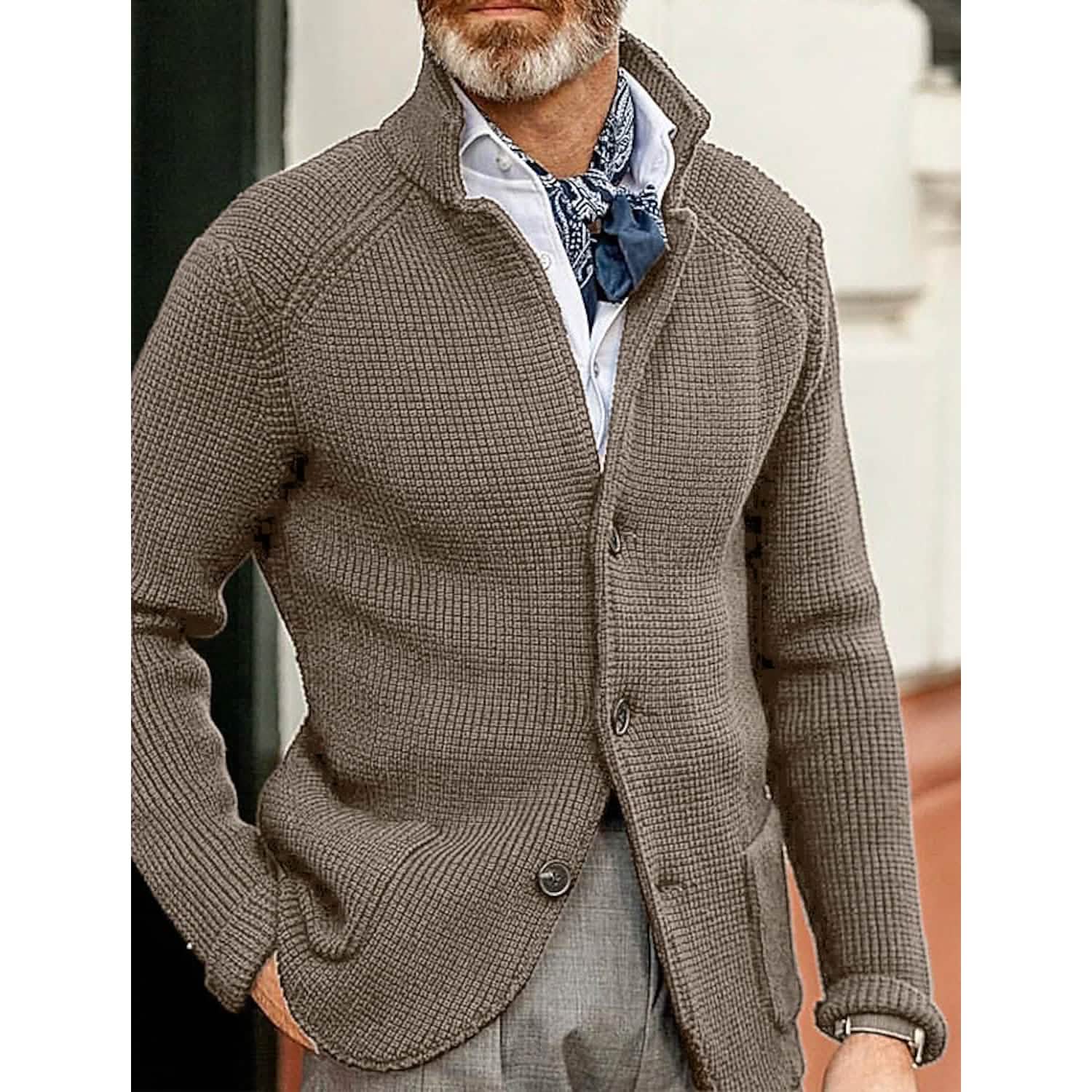 Men's Cardigan Solid Color Sweater DailySale