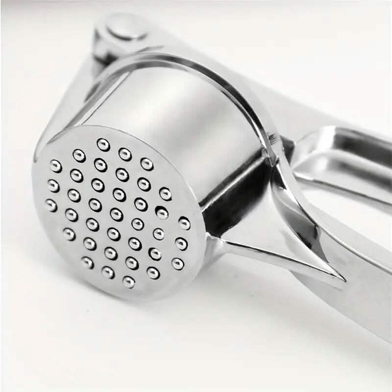 Metal Garlic Press Manually Crusher DailySale