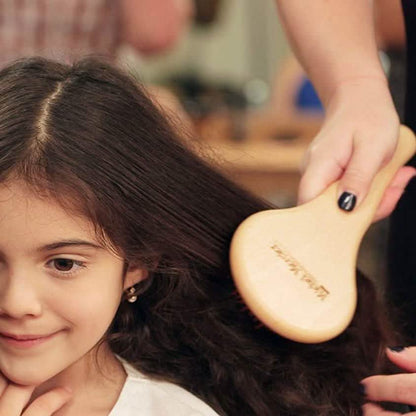 Michel Mercier Wood Crafted Detangling Hair Brush DailySale