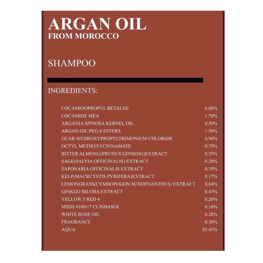 Moroccan Oil Hair Care Gift Set DailySale