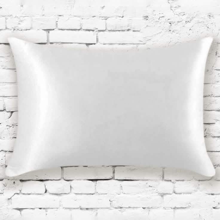 Mulberry Silk Pillowcases - Assorted Colors DailySale