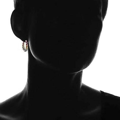 Multi Color Graduated Crystal Inside Out Hoops DailySale