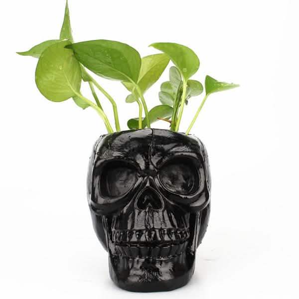 Multifunction Creative Skull Storage Stationery Holder DailySale