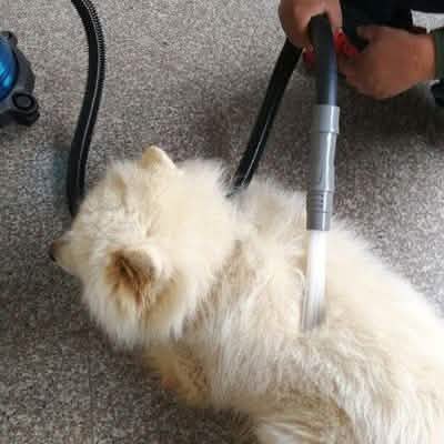 Multifunction Dust Vacuum Cleaner DailySale