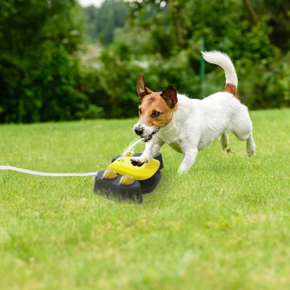 Multifunctional Automatic Pet Water Dispenser Outdoor Step-on Activated Sprinkler DailySale