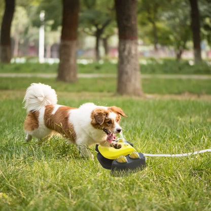 Multifunctional Automatic Pet Water Dispenser Outdoor Step-on Activated Sprinkler DailySale