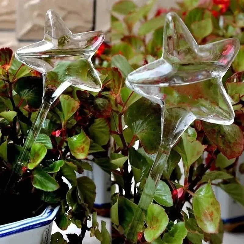Mushroom Flower Watering Device DailySale