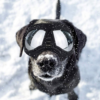 Namsan Dog Goggles-Sunglasses for Large Dogs DailySale