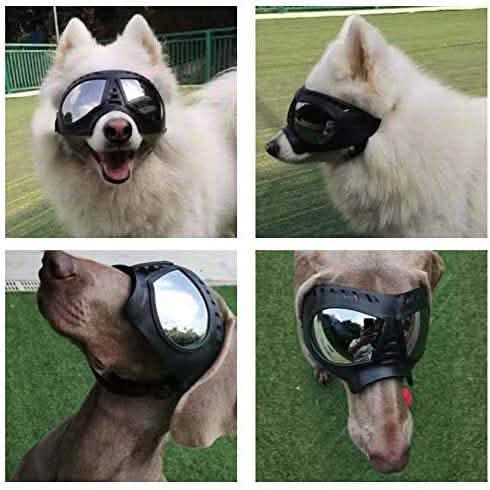 Namsan Dog Goggles-Sunglasses for Large Dogs DailySale