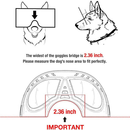 Namsan Dog Goggles-Sunglasses for Large Dogs DailySale
