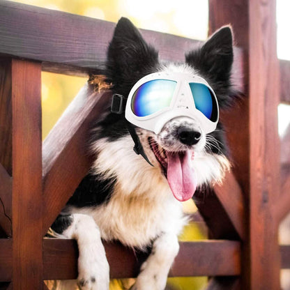 Namsan Dog Goggles-Sunglasses for Large Dogs DailySale