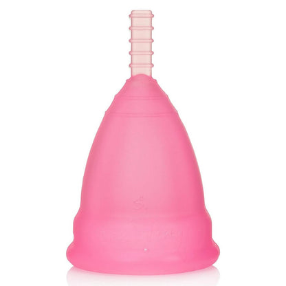 NezBling Menstrual Cup DailySale