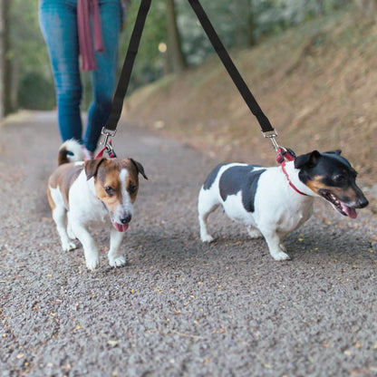 No-Tangle Dual Dogs Leash DailySale