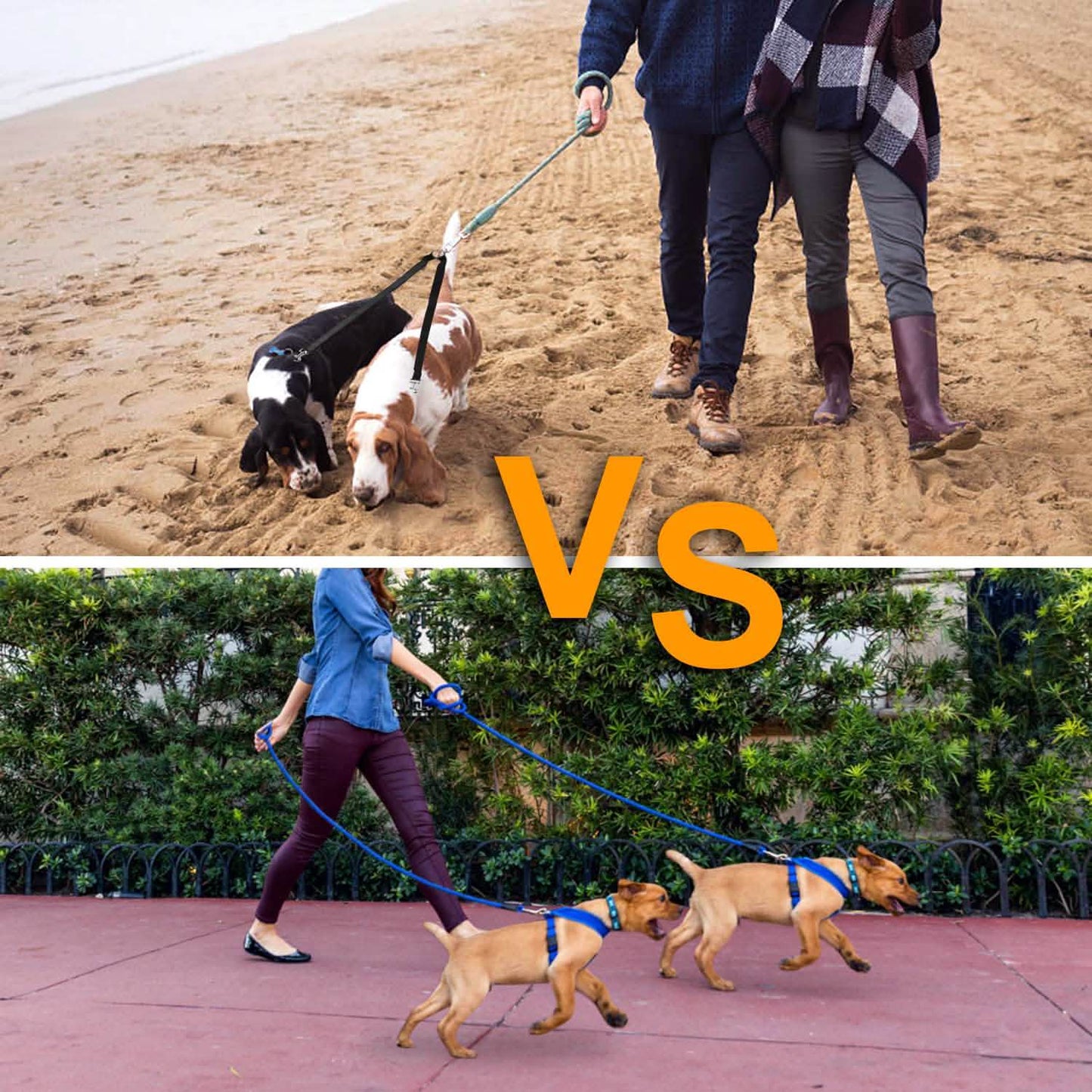 No-Tangle Dual Dogs Leash DailySale
