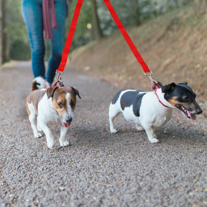 No-Tangle Dual Dogs Leash DailySale