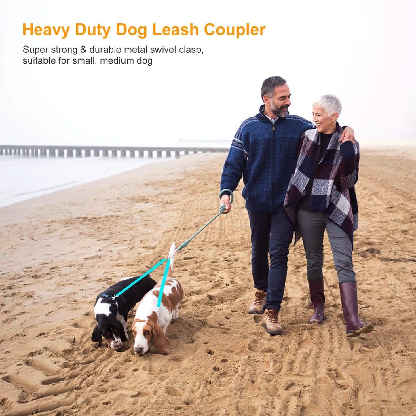 No-Tangle Dual Dogs Leash DailySale