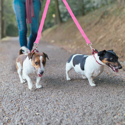 No-Tangle Dual Dogs Leash DailySale