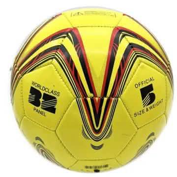 Official Size 5 Soccer Ball DailySale