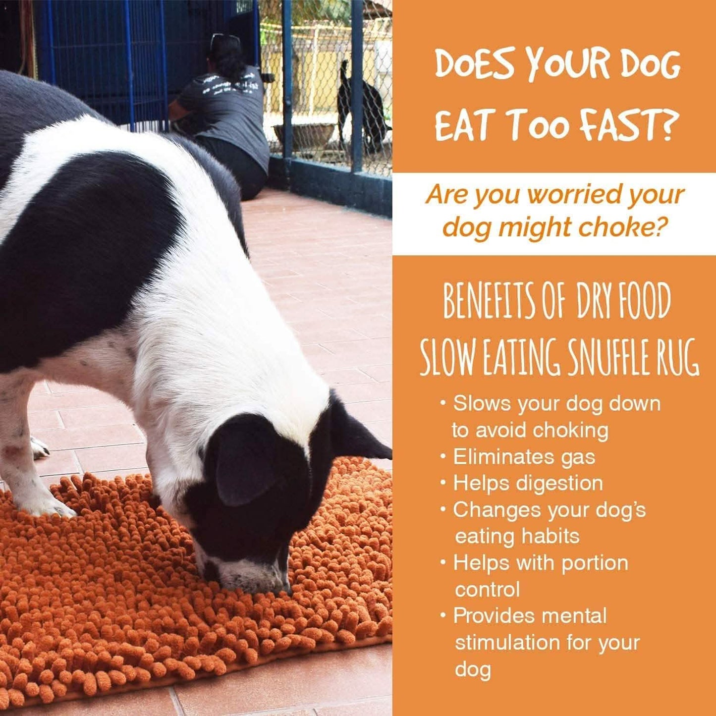Our K9 Training Made Easy Snuffle Mat DailySale