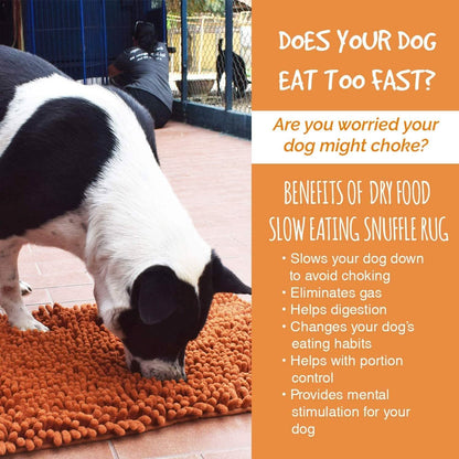 Our K9 Training Made Easy Snuffle Mat DailySale