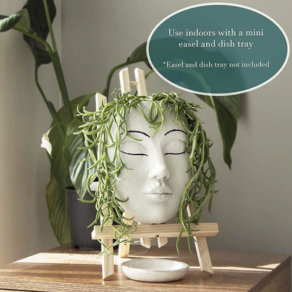 Outdoor Face Planter with Drainage for Cute Plants DailySale