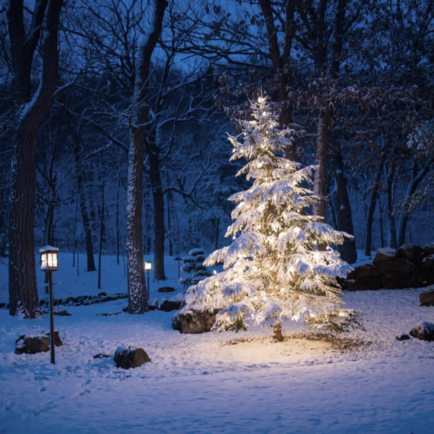 Outdoor Solar String Lights DailySale
