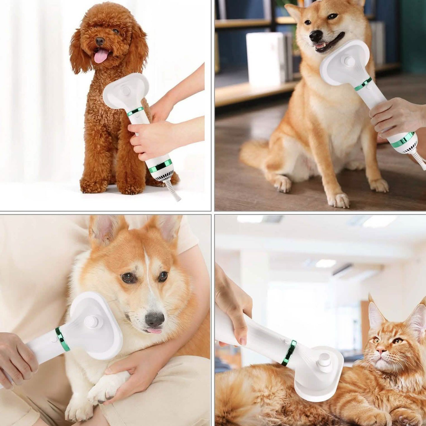 Ownpets 2-in-1 Pet Hair Dryer Portable DailySale