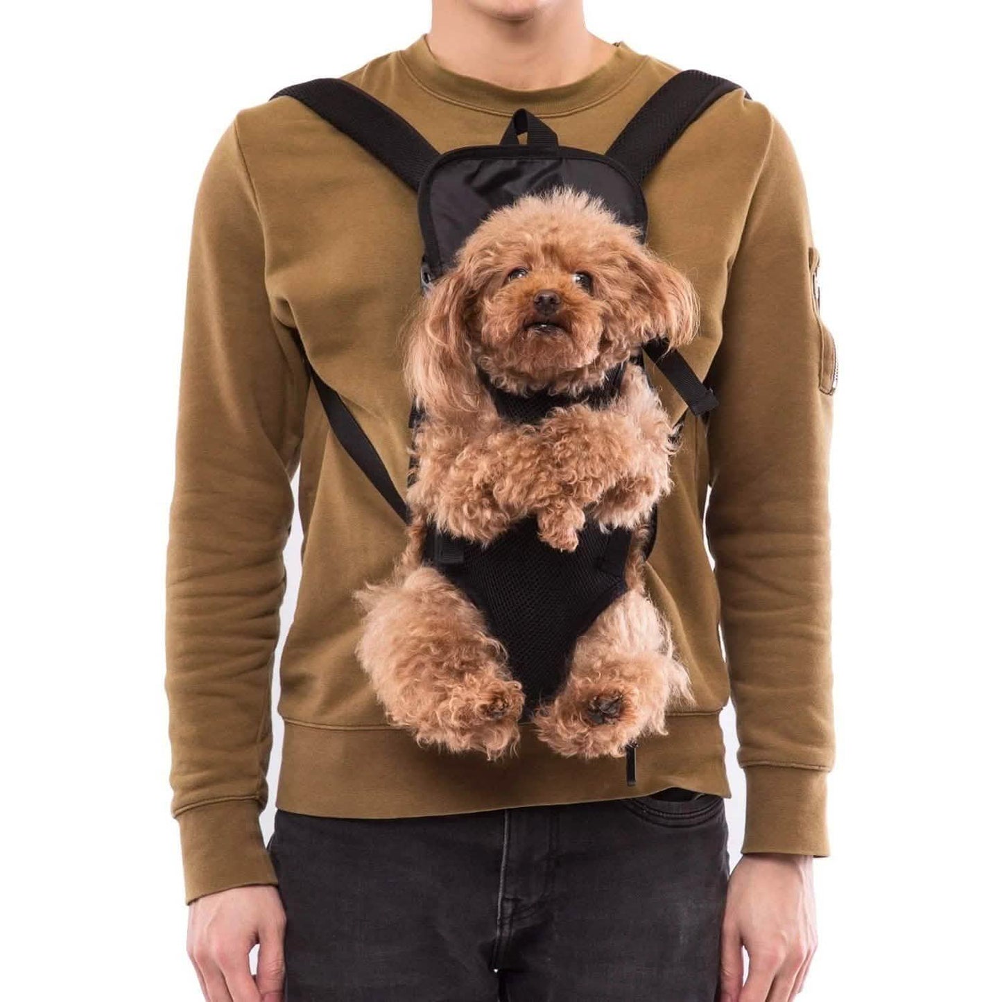 Ownpets Legs Out Front Dog Carrier DailySale