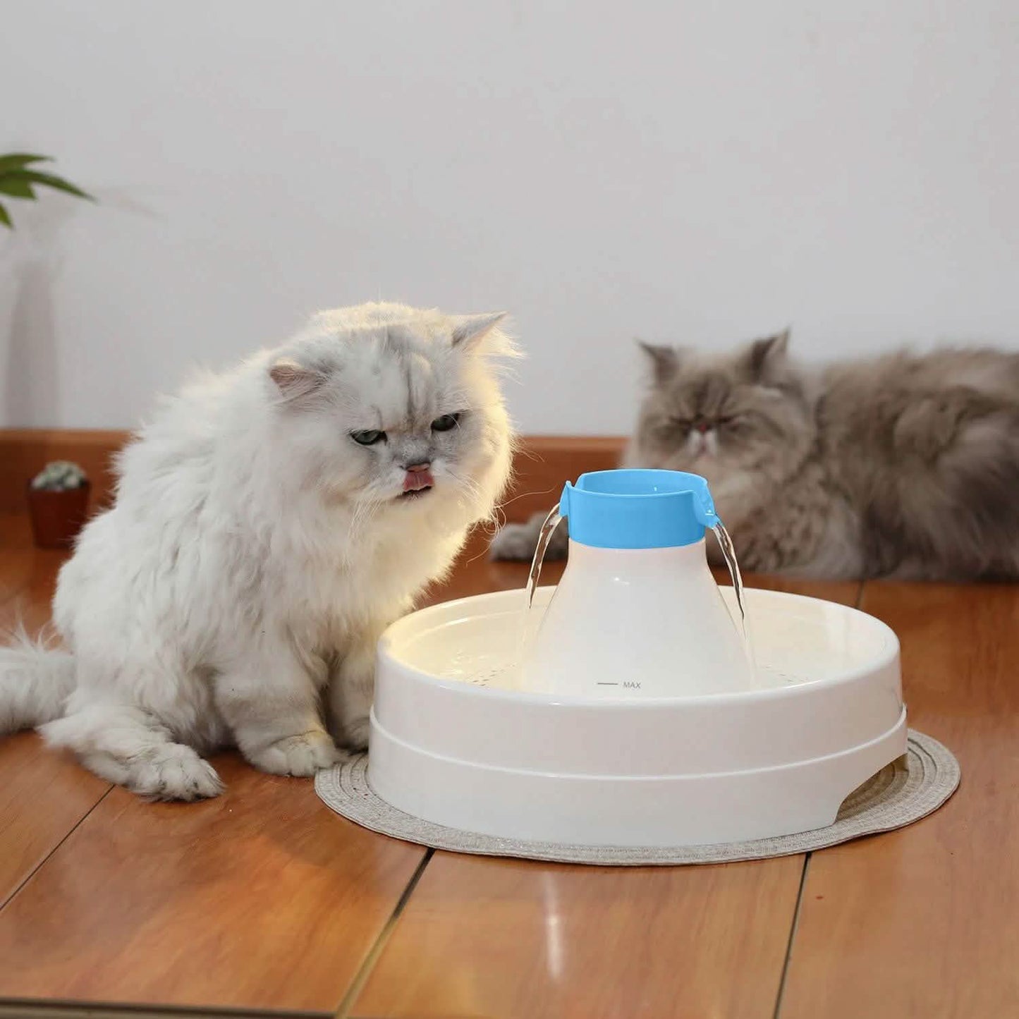 Ownpets® Pets Drinking Fountain Active Oxygen Cycle Two Drinking Area 3L DailySale