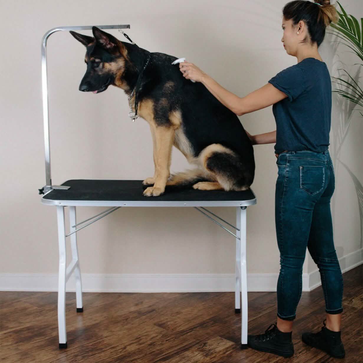 Oxgord 36" Pet Grooming Foldable Table DailySale