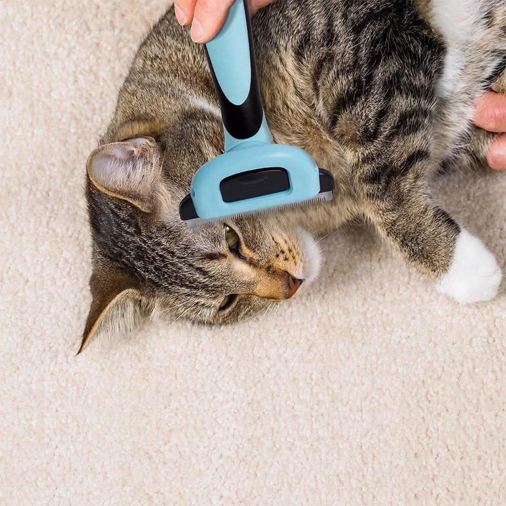 OxGord Blue Combo Pet Grooming Brush DailySale