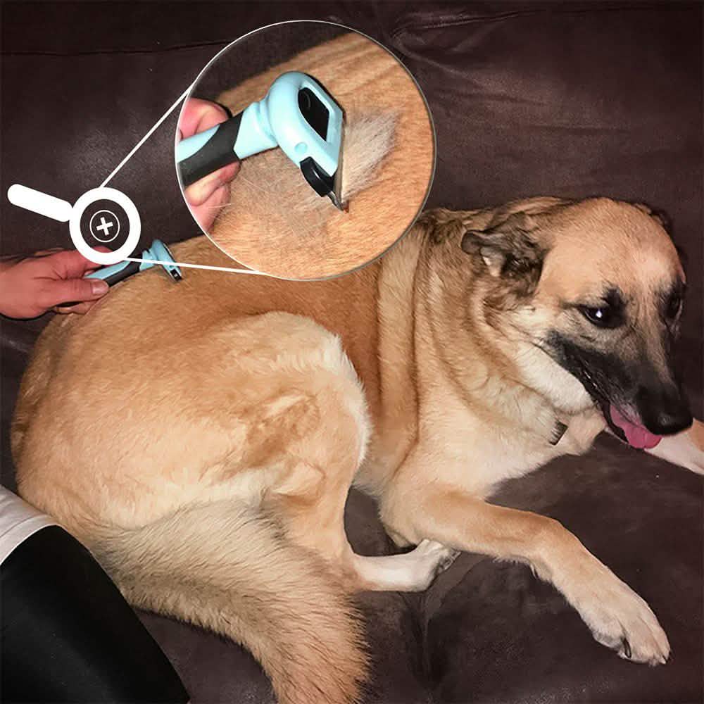 OxGord Blue Combo Pet Grooming Brush DailySale