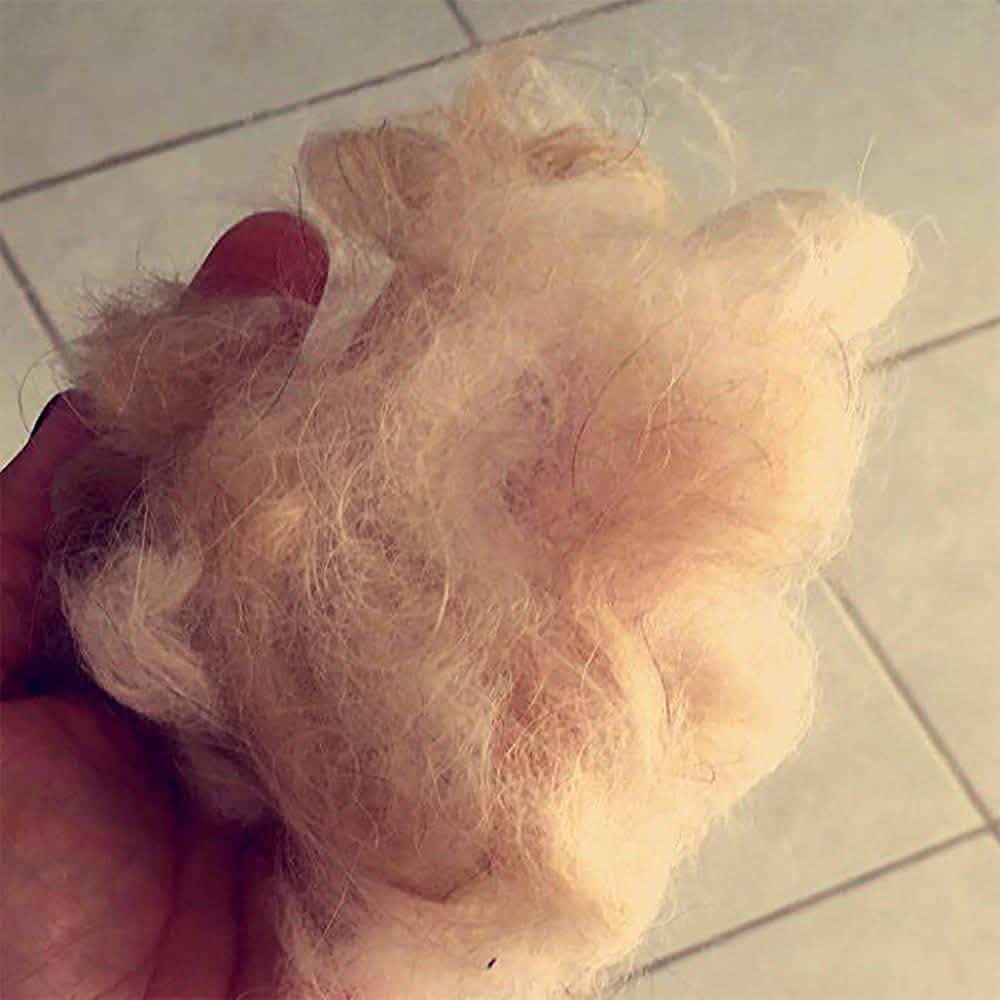 OxGord Blue Combo Pet Grooming Brush DailySale