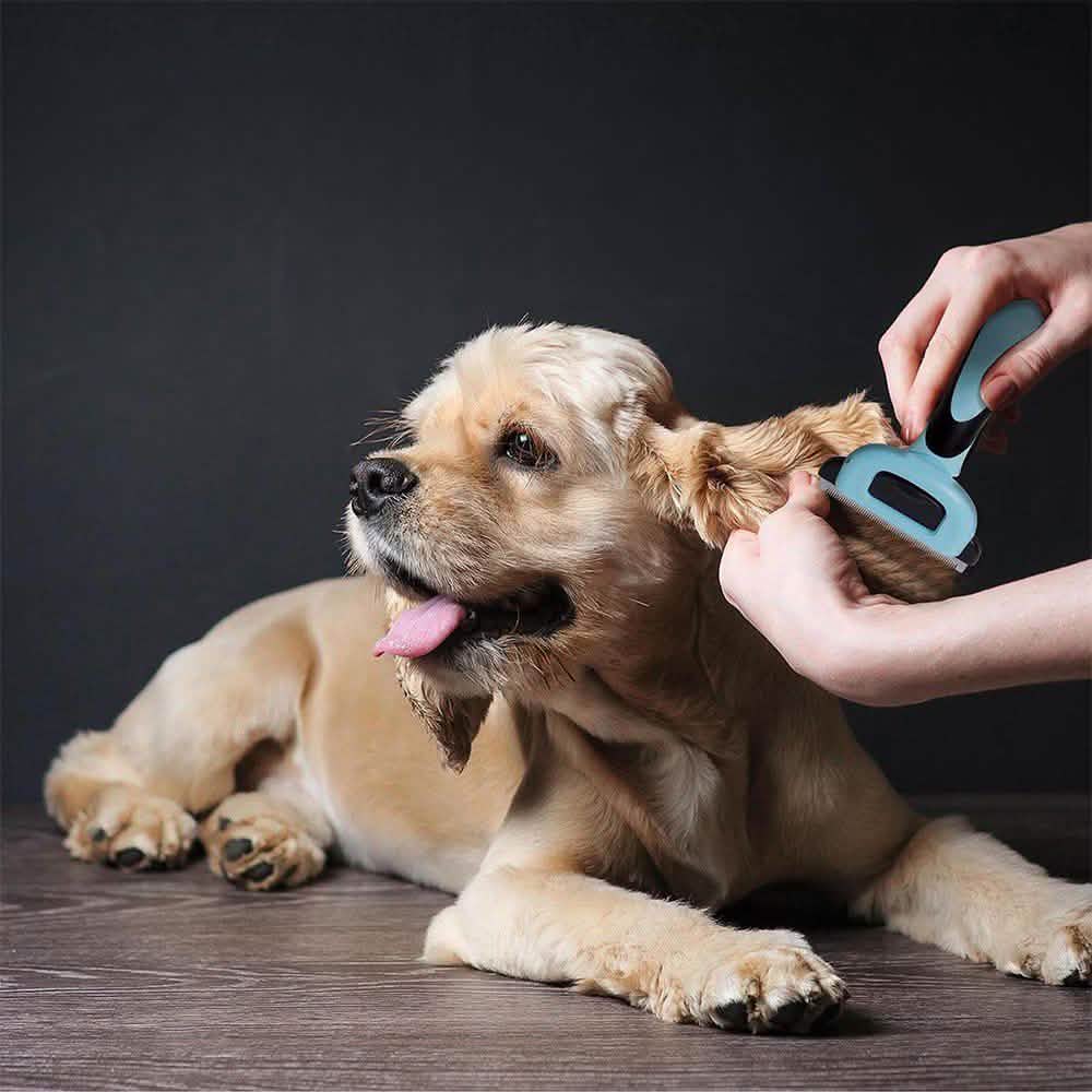 OxGord Blue Combo Pet Grooming Brush DailySale