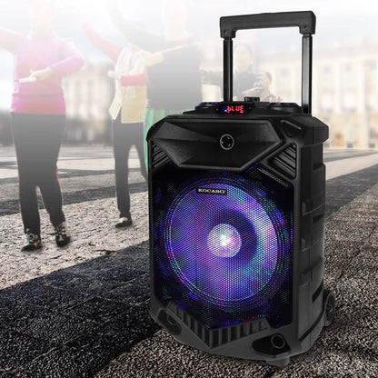 Party Wireless Speaker DailySale